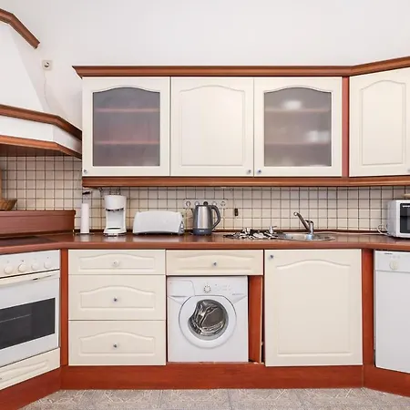 Apartment Bpr Swan Near The Buda Castle *